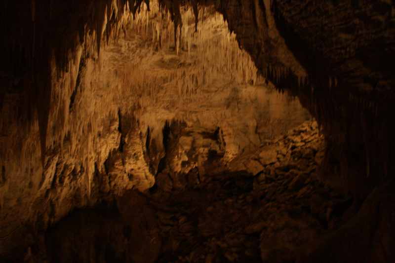 Nieuw-Zeeland 2011 - 0547